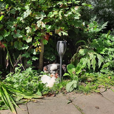 De Akker, Unieke Overnachting In Pipowagens! Ommeren Exteriér fotografie
