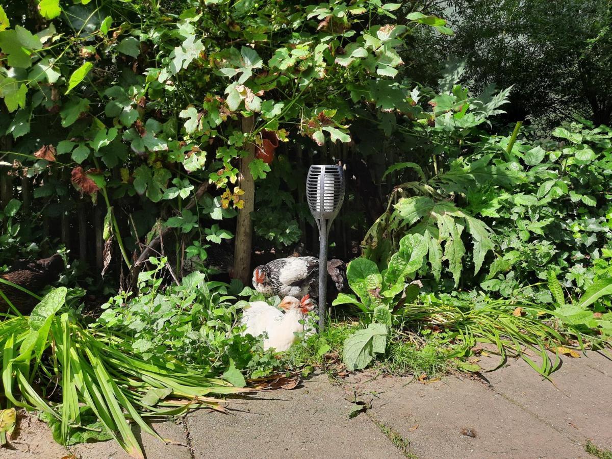De Akker, Unieke Overnachting In Pipowagens! Ommeren Exteriér fotografie